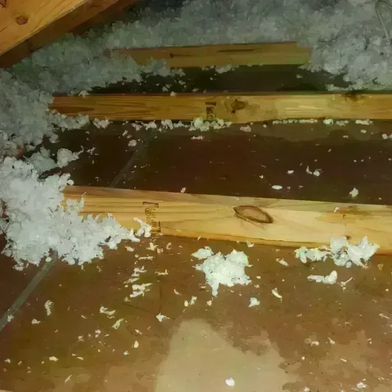 Attic Water Damage in Missoula County, MT