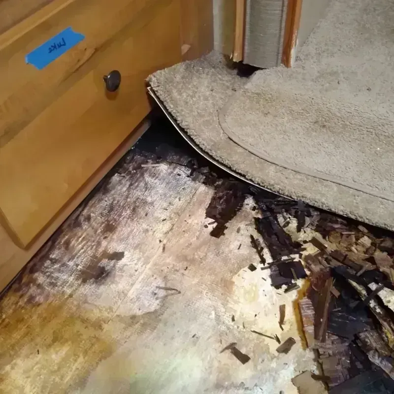 Wood Floor Water Damage in Missoula County, MT